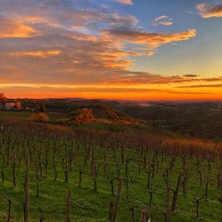 Bed and Breakfast Peterc Vineyard Estate Койско Екстер'єр фото