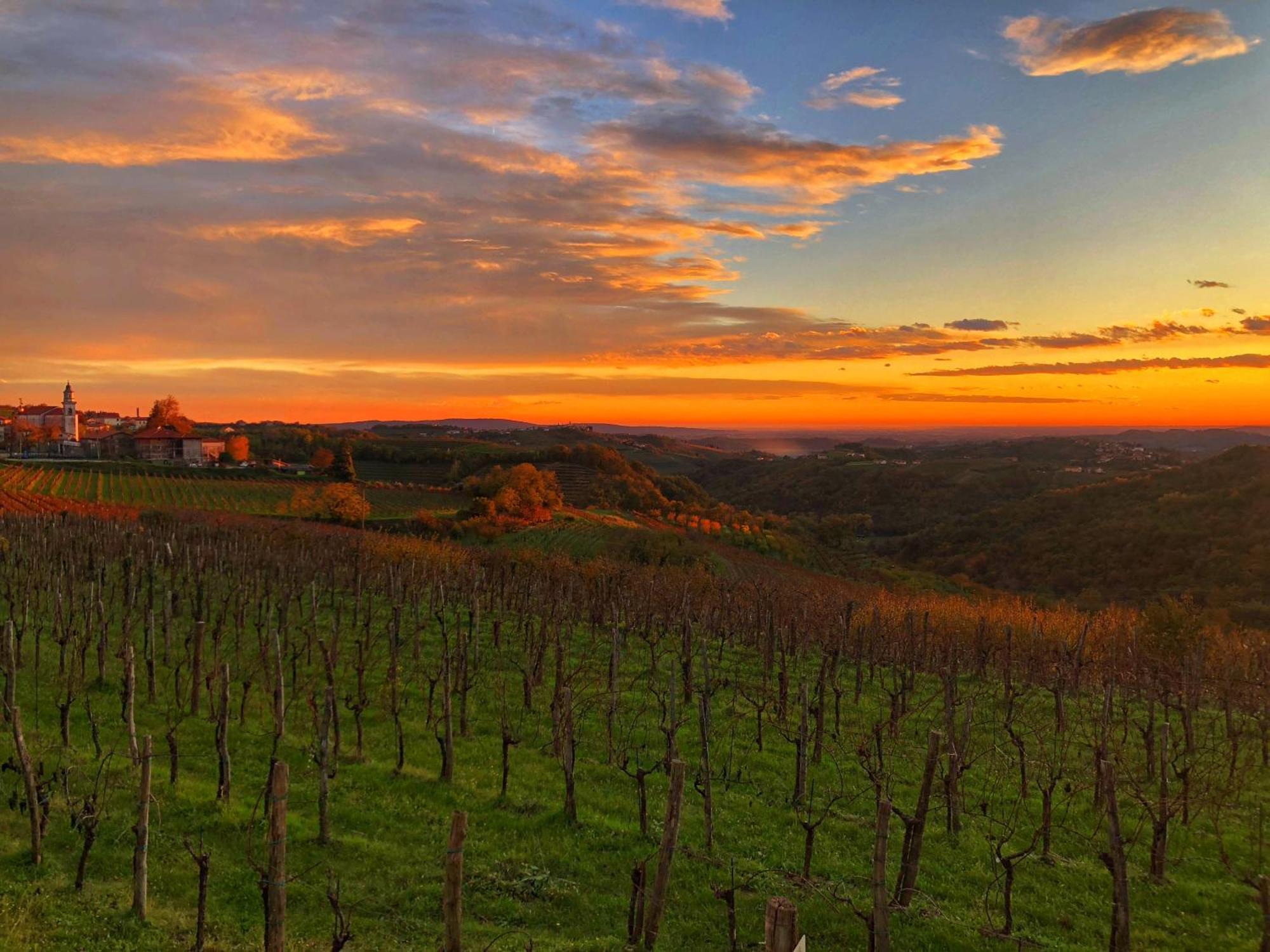 Bed and Breakfast Peterc Vineyard Estate Койско Екстер'єр фото